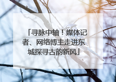 寻脉中轴！媒体记者、网络博主走进东城探寻古韵新风