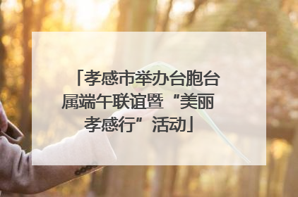 孝感市举办台胞台属端午联谊暨“美丽孝感行”活动