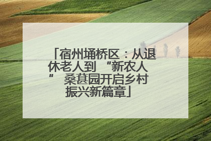 宿州埇桥区：从退休老人到 “新农人” 桑葚园开启乡村振兴新篇章