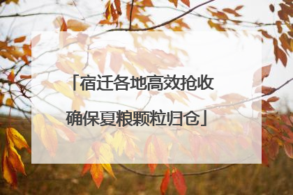 宿迁各地高效抢收 确保夏粮颗粒归仓