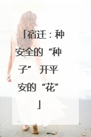宿迁：种安全的“种子” 开平安的“花”