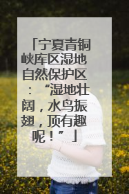 宁夏青铜峡库区湿地自然保护区：“湿地壮阔，水鸟振翅，顶有趣呢！”