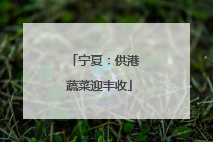 宁夏：供港蔬菜迎丰收