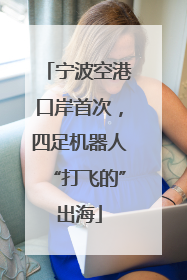 宁波空港口岸首次，四足机器人“打飞的”出海