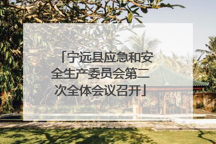 宁远县应急和安全生产委员会第二次全体会议召开