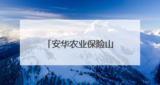 安华农业保险山东分公司以科技护航助农丰收