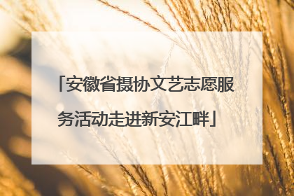 安徽省摄协文艺志愿服务活动走进新安江畔