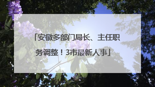 安徽多部门局长、主任职务调整！3市最新人事