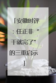 安徽时评：任正非“干就完了”的三重启示