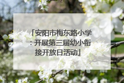 安阳市梅东路小学：开展第三届幼小衔接开放日活动