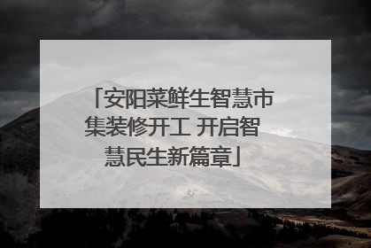 安阳菜鲜生智慧市集装修开工 开启智慧民生新篇章