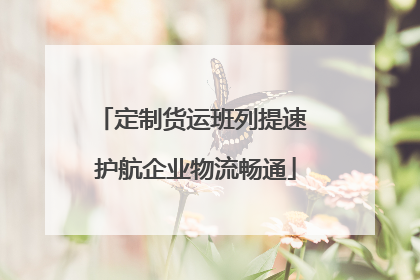 定制货运班列提速 护航企业物流畅通
