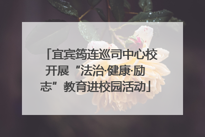 宜宾筠连巡司中心校开展“法治·健康·励志”教育进校园活动