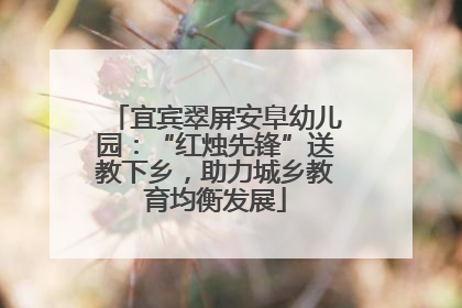宜宾翠屏安阜幼儿园：“红烛先锋”送教下乡，助力城乡教育均衡发展