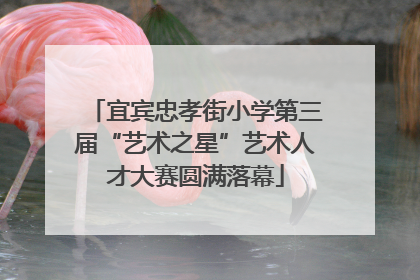 宜宾忠孝街小学第三届“艺术之星”艺术人才大赛圆满落幕