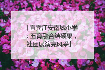 宜宾江安南城小学：五育融合结硕果，社团展演亮风采