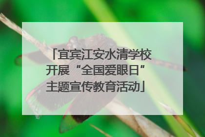 宜宾江安水清学校开展“全国爱眼日”主题宣传教育活动