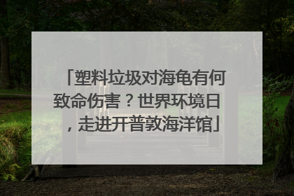 塑料垃圾对海龟有何致命伤害？世界环境日，走进开普敦海洋馆
