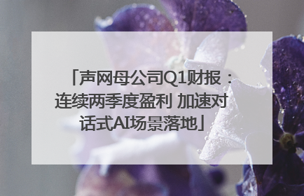 声网母公司Q1财报：连续两季度盈利 加速对话式AI场景落地