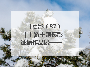 夏影（87）｜上游主题摄影征稿作品展——周社根作品