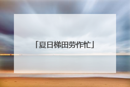 夏日梯田劳作忙