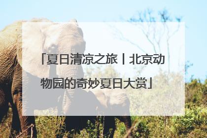 夏日清凉之旅丨北京动物园的奇妙夏日大赏