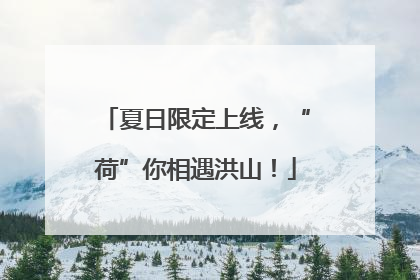 夏日限定上线，“荷”你相遇洪山！