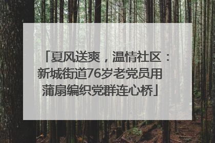 夏风送爽，温情社区：新城街道76岁老党员用蒲扇编织党群连心桥