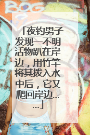 夜钓男子发现一不明活物趴在岸边，用竹竿将其拨入水中后，它又爬回岸边……