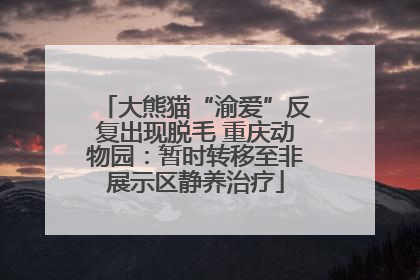 大熊猫“渝爱”反复出现脱毛 重庆动物园：暂时转移至非展示区静养治疗