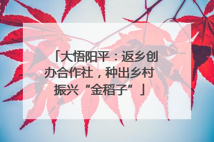 大悟阳平：返乡创办合作社，种出乡村振兴“金稻子”
