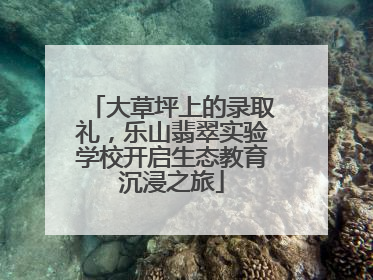 大草坪上的录取礼，乐山翡翠实验学校开启生态教育沉浸之旅