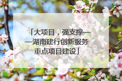 大项目，强支撑——湖南建行创新服务重点项目建设