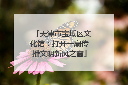 天津市宝坻区文化馆：打开一扇传播文明新风之窗