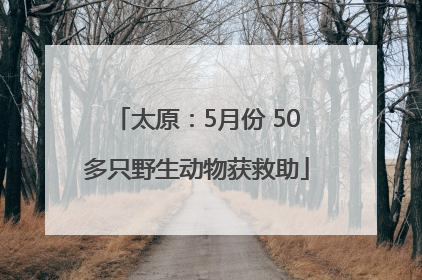 太原：5月份 50多只野生动物获救助