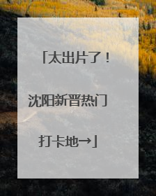 太出片了！沈阳新晋热门打卡地→