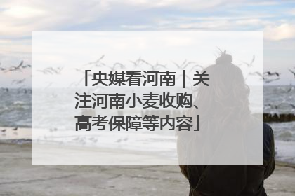 央媒看河南｜关注河南小麦收购、高考保障等内容