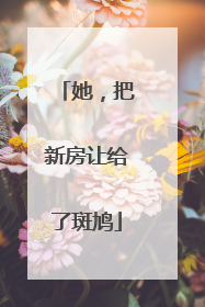 她，把新房让给了斑鸠
