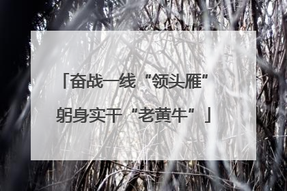 奋战一线“领头雁” 躬身实干“老黄牛”