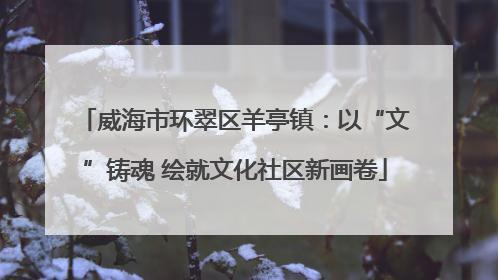 威海市环翠区羊亭镇：以“文”铸魂 绘就文化社区新画卷