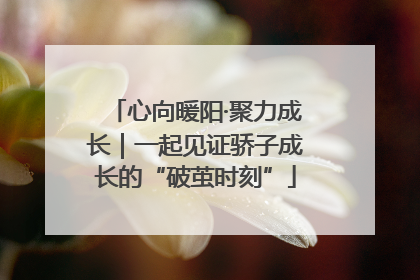 心向暖阳·聚力成长｜一起见证骄子成长的“破茧时刻”