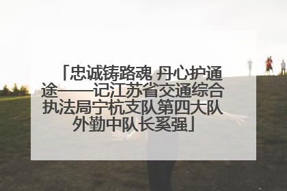 忠诚铸路魂 丹心护通途——记江苏省交通综合执法局宁杭支队第四大队外勤中队长奚强