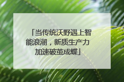 当传统沃野遇上智能浪潮，新质生产力加速破茧成蝶