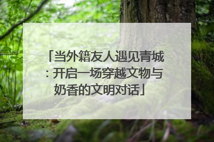 当外籍友人遇见青城：开启一场穿越文物与奶香的文明对话