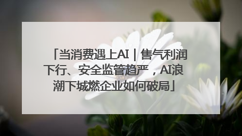 当消费遇上AI｜售气利润下行、安全监管趋严，AI浪潮下城燃企业如何破局