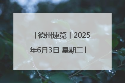 德州速览丨2025年6月3日 星期二