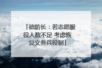 德防长：若志愿服役人数不足 考虑恢复义务兵役制