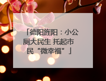 德阳旌阳：小公厕大民生 托起市民“微幸福”