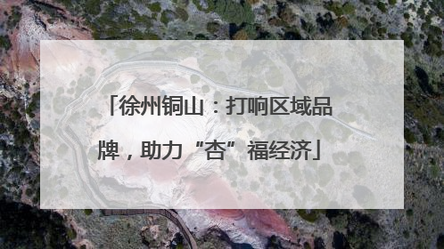徐州铜山：打响区域品牌，助力“杏”福经济