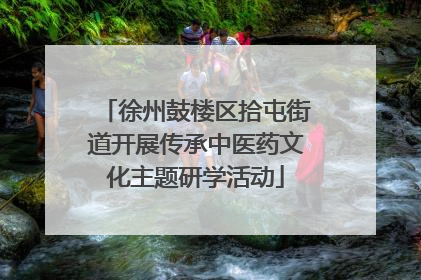 徐州鼓楼区拾屯街道开展传承中医药文化主题研学活动